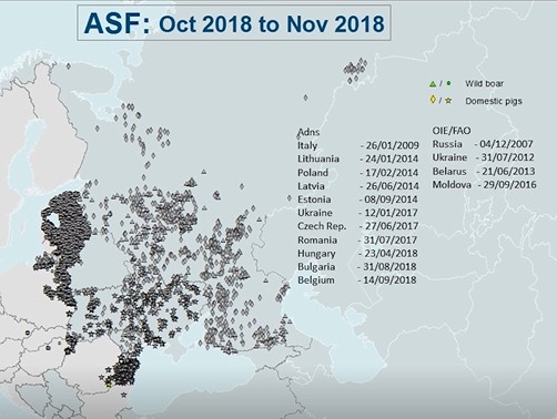 非洲豬瘟在歐洲大規(guī)模爆發(fā)，越來(lái)越多的國(guó)家受到波及