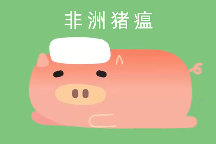 非洲豬瘟